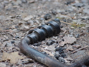 What Is It?