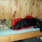 All Worn Out