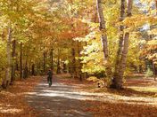 Bicycling in the leaves