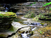 Beautiful Watkins Glen