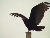 What...Monday...Already!?!?