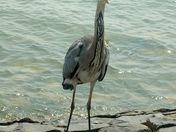 Looking for a Handout