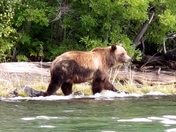 Searching for breakfast