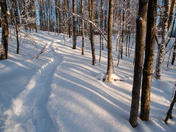 Snowshoe Trails