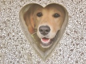 Happy Valentines Day! 