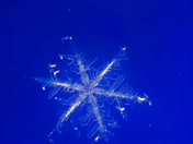Snowflake