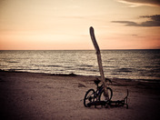 I'd rather be swimming