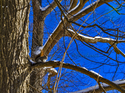 After the snow storm