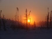 Iceroad Sunrise