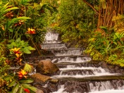 Tabacon Thermal Springs