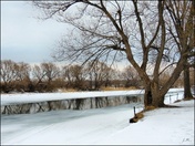 Spring is in the Air