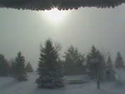 Sun trying to poke through during a blizzard