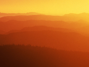 Terra Nova National Park