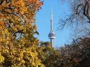 CN Tower in the fall