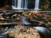 Fall descends on Hogg's Falls