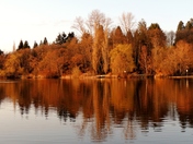 Fall Colours In Spring