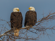 So, do you think we should go south this winter?