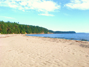 Sandy Cove