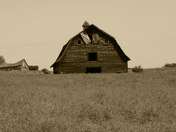 Farm yard