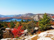 Fall Color White Mountains