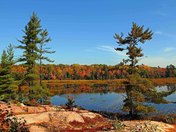 Autumn At The Killarney Marsh