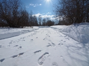 Footprints in the snow