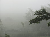 fog