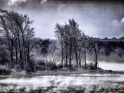 Island of Lost Souls