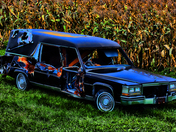 Hearse in the Cornfield