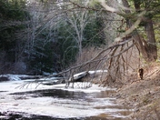 Seasons changing right before your eyes