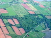 Coming Home To Island