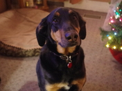 Do I have to go to bed??