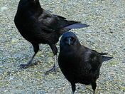 Well, hello there...