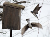 Changing of the guard