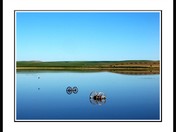 Reflection on Transportation