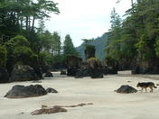 Cape Scott