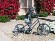 Looking For Adventure