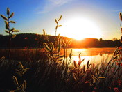 Aura de lumiÃ¨re Ã  l'aube