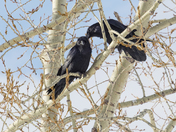 You Are So Beautiful