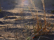 Sand dunes at sunset
