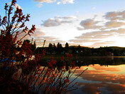 PsychÃ© printanier