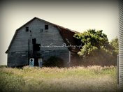 Old Albertan barnyard