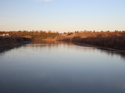 dont burn bridges. sometimes.