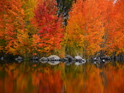 Fall blaze