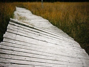 A bump along the way