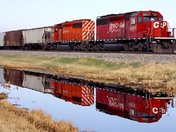 CPR train and reflection