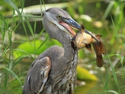 Everglades National Park
