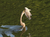Everglades National Park