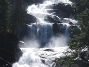 Grizzly Bear Falls