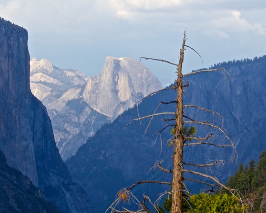 Yosemite